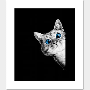 Tabby Cat Blue Eyes Tabby Cat Posters and Art